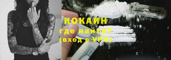 стаф Богородицк
