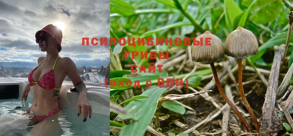 jwh Богородск