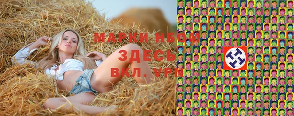 стаф Богородицк