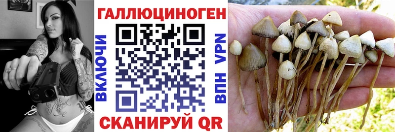 купить  сайты  ОМГ ОМГ рабочий сайт  Галлюциногенные грибы MAGIC MUSHROOMS  Ядрин 